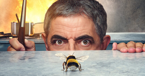 კაცი ფუტკრის წინააღმდეგ / Man vs Bee
